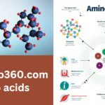 doctorhub360.com amino acids